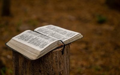 Day 20 — Praying without Performance