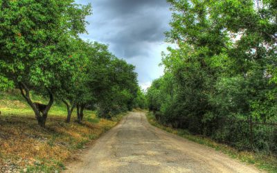 Day 35 — The Narrow Way