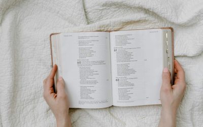 Day 17 — A Divided Life