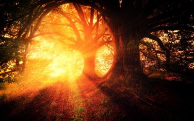 Day 24 — Two Treasures, One Heart