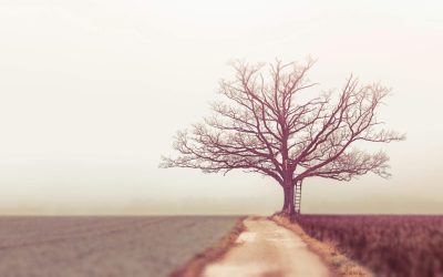 Day 31 — Discernment without Contempt